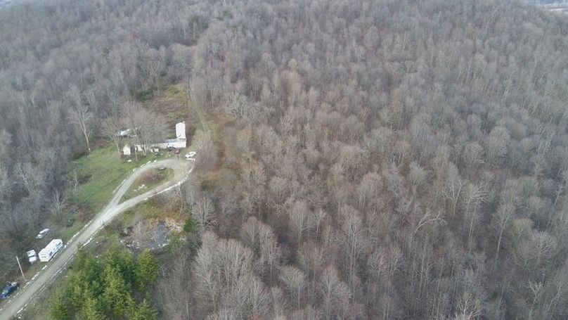 4583038_100DRONE_SING0487