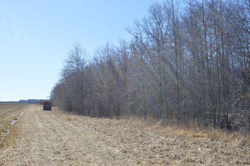 East border looking south