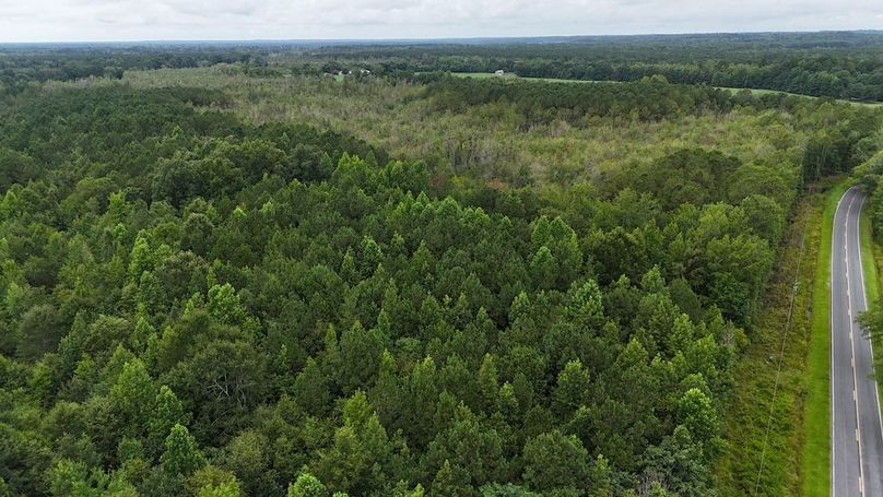 dji_fly_20250715_111000_0588_1752592282718_photo