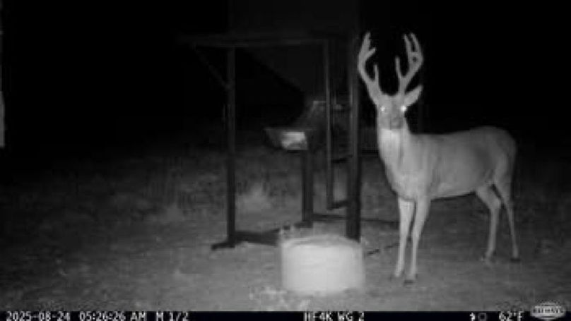 d5afa07b9e771ea75e2e310f70973ab1-small