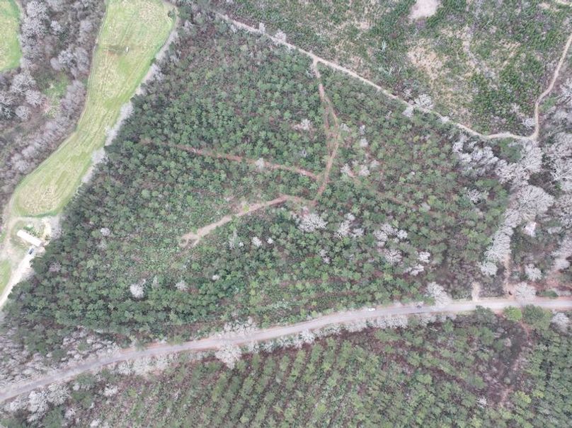 dji_fly_20260217_133122_0122_1771436925877_photo