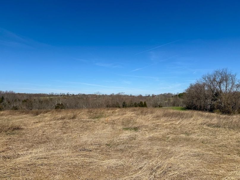 Fleming Petry 115-51