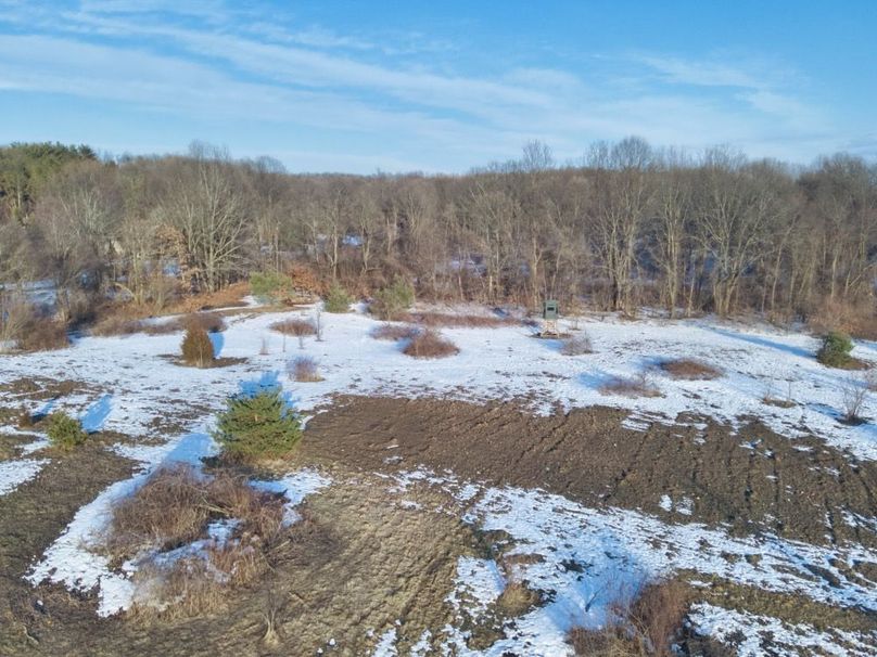 19 3rd field food plot 360 blind