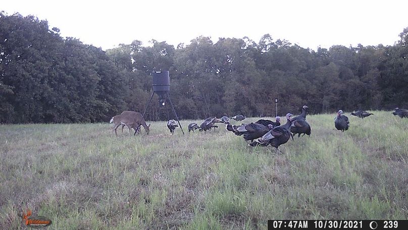 WGI_0239