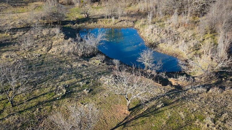 7.Pond with Gadwalls and Widgeon