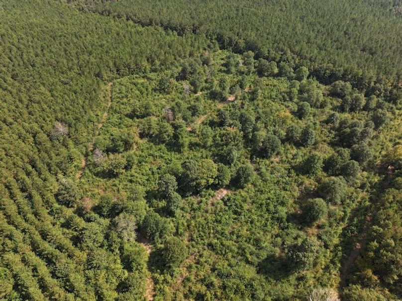 dji_fly_20250915_151214_0471_1758029012276_photo