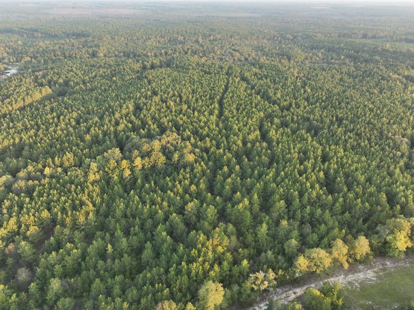 dji_fly_20230925_074344_742_1695642642526_photo