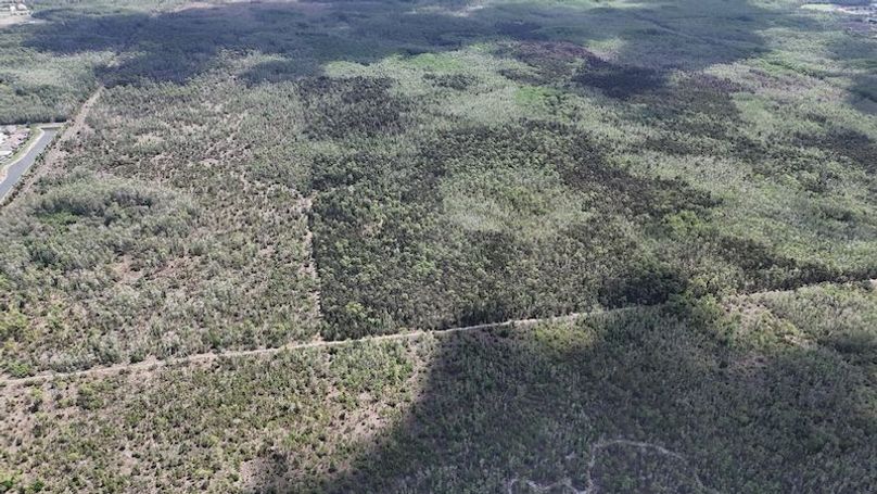 DJI_20260403131129_0491_D