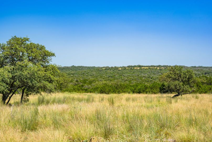 15-web-or-mls-DSC08375