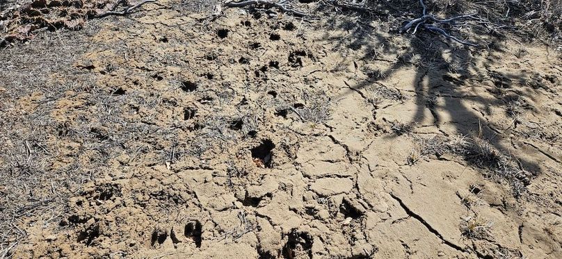 20240220_111422 - Copy