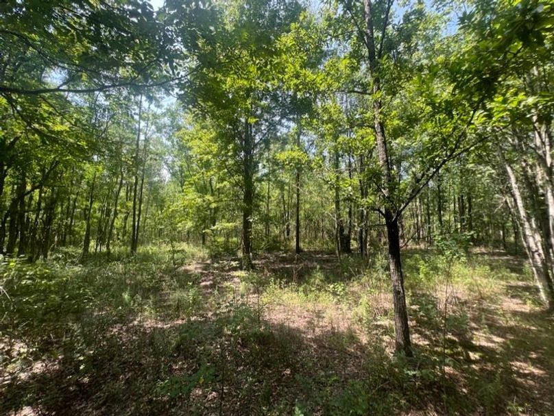 F70BA614-940F-4F48-AC75-F947EC2A326A_1_105_c