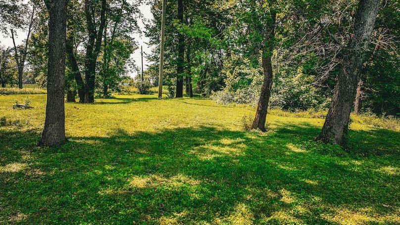 dji_fly_20240730_150528_0292_1722366477722_photo