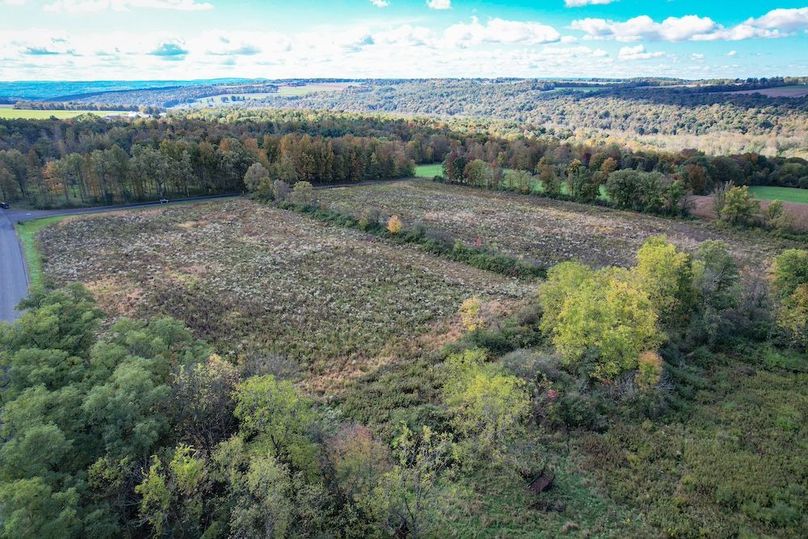 Tompkins_30.32_Hildreth_Estate_Phoros_45