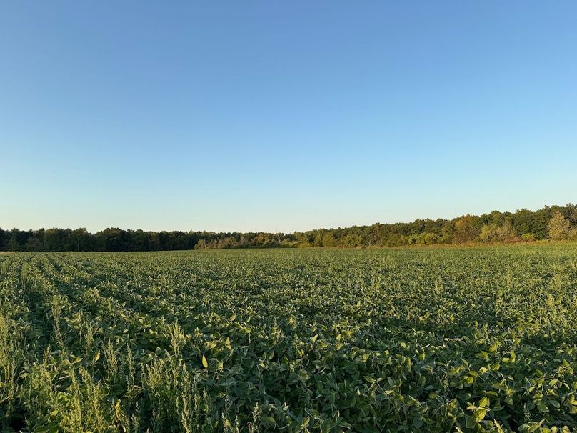 Copy of Wood Tract 3 Photo 7