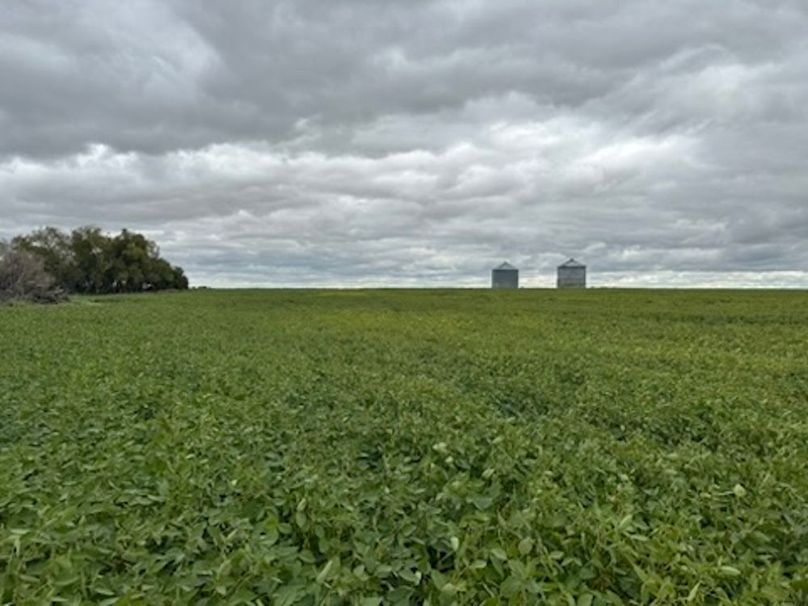 FDFEC390-6A67-4ABB-B1F6-83F03AA07693_4_5005_c