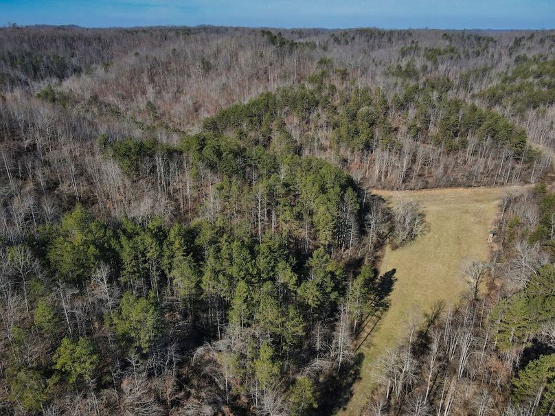 029 great overview of the bottoms