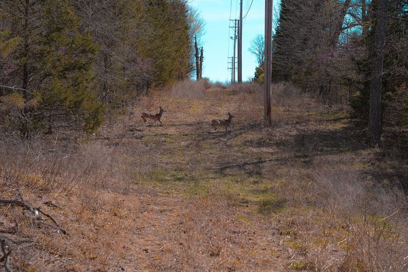 DSC05201