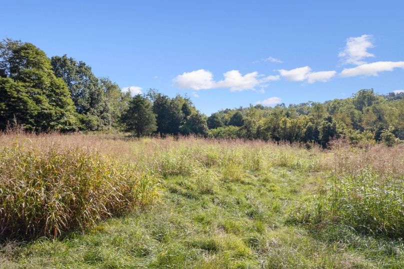 19-web-or-mls-DJI_0274