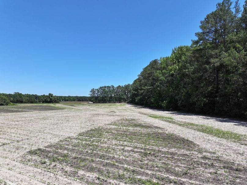 Copy of DJI_20260602142217_0046_D