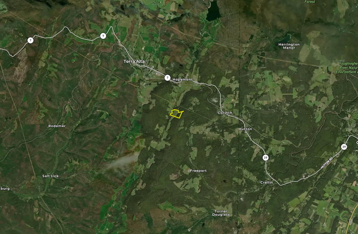 Screenshot 2025-08-11 at 8.37.03 AM