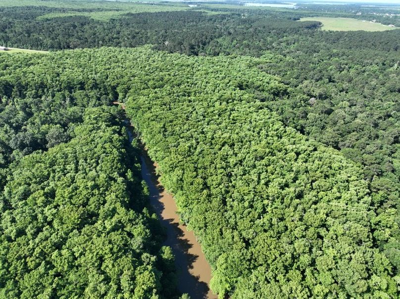 dji_fly_20260513_102432_451_1778687612665_photo