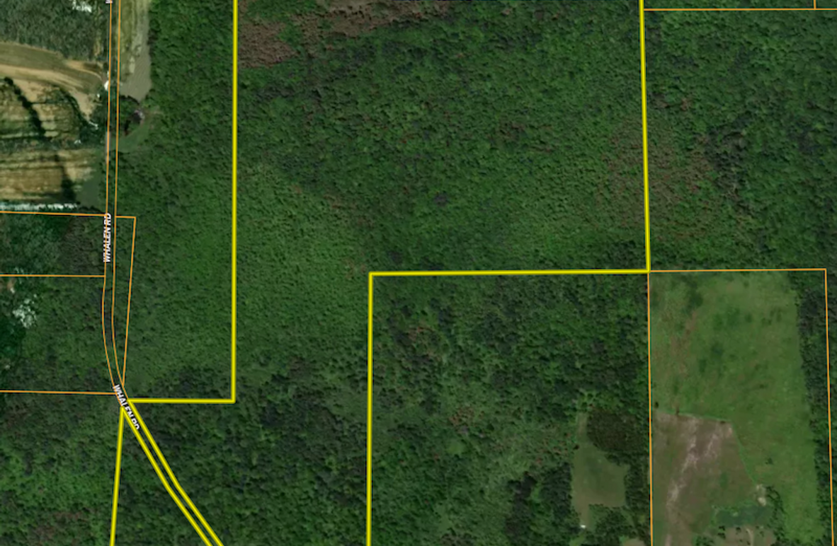 Screenshot 2025-07-03 092234