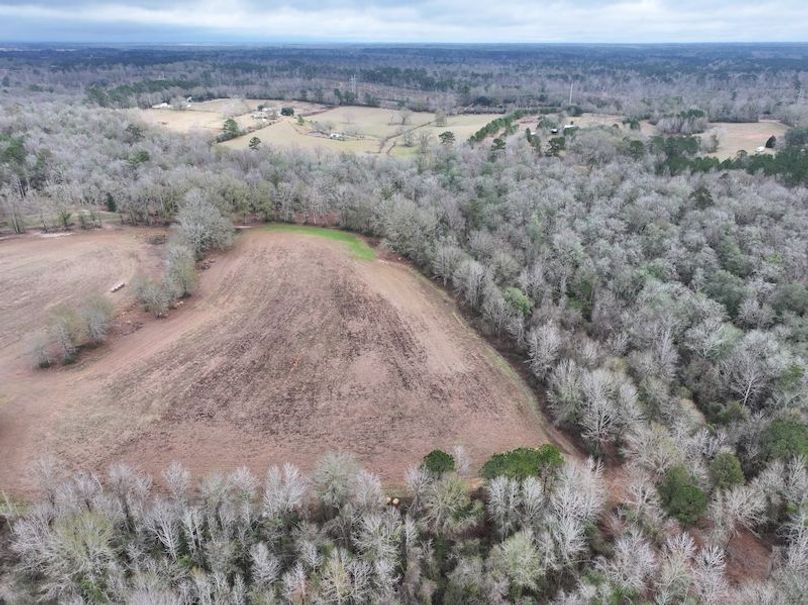 dji_fly_20260122_123424_0875_1769444804201_photo