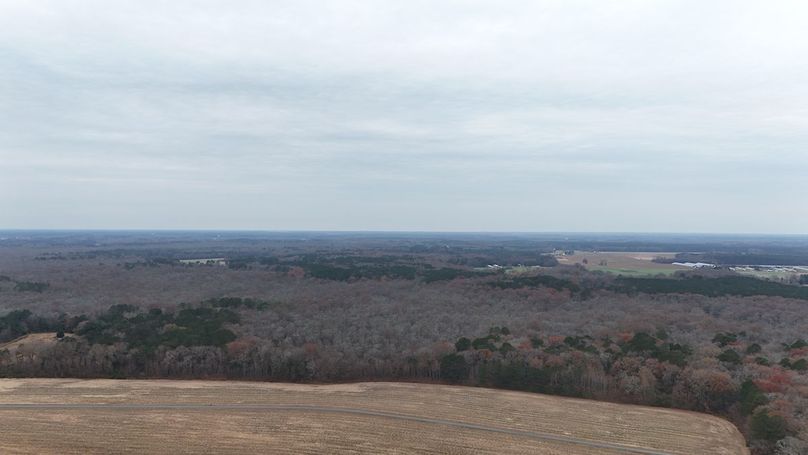 dji_fly_20251121_103906_0079_1763821529469_photo