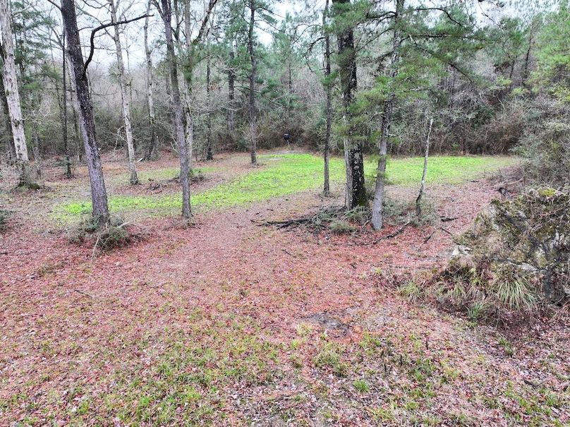 dji_fly_20260122_101024_0857_1769444811261_photo