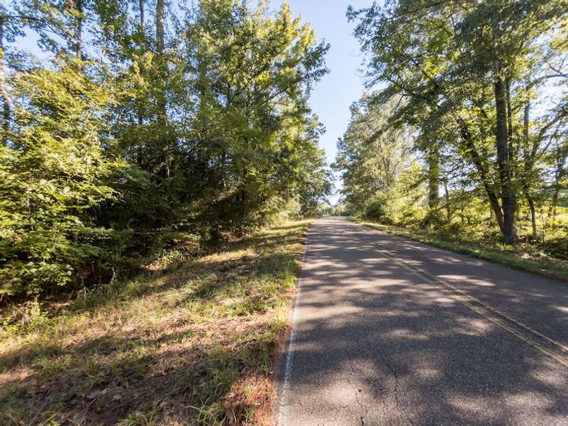 Hinds Co - 3.94 - Newman-1