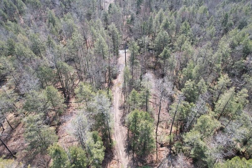 dji_fly_20260330_125116_567_1775656570564_photo