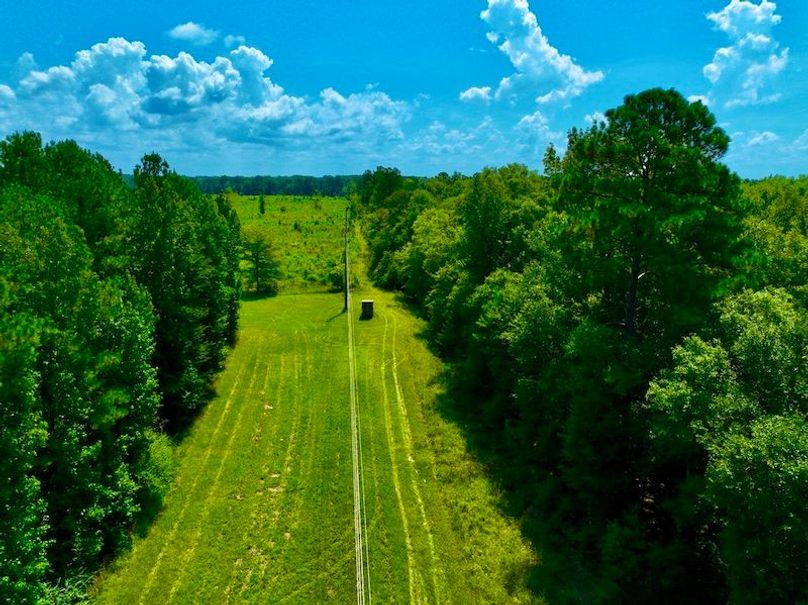 96625B40-0D58-49E3-9F94-FF2CFA9202A8_1_105_c