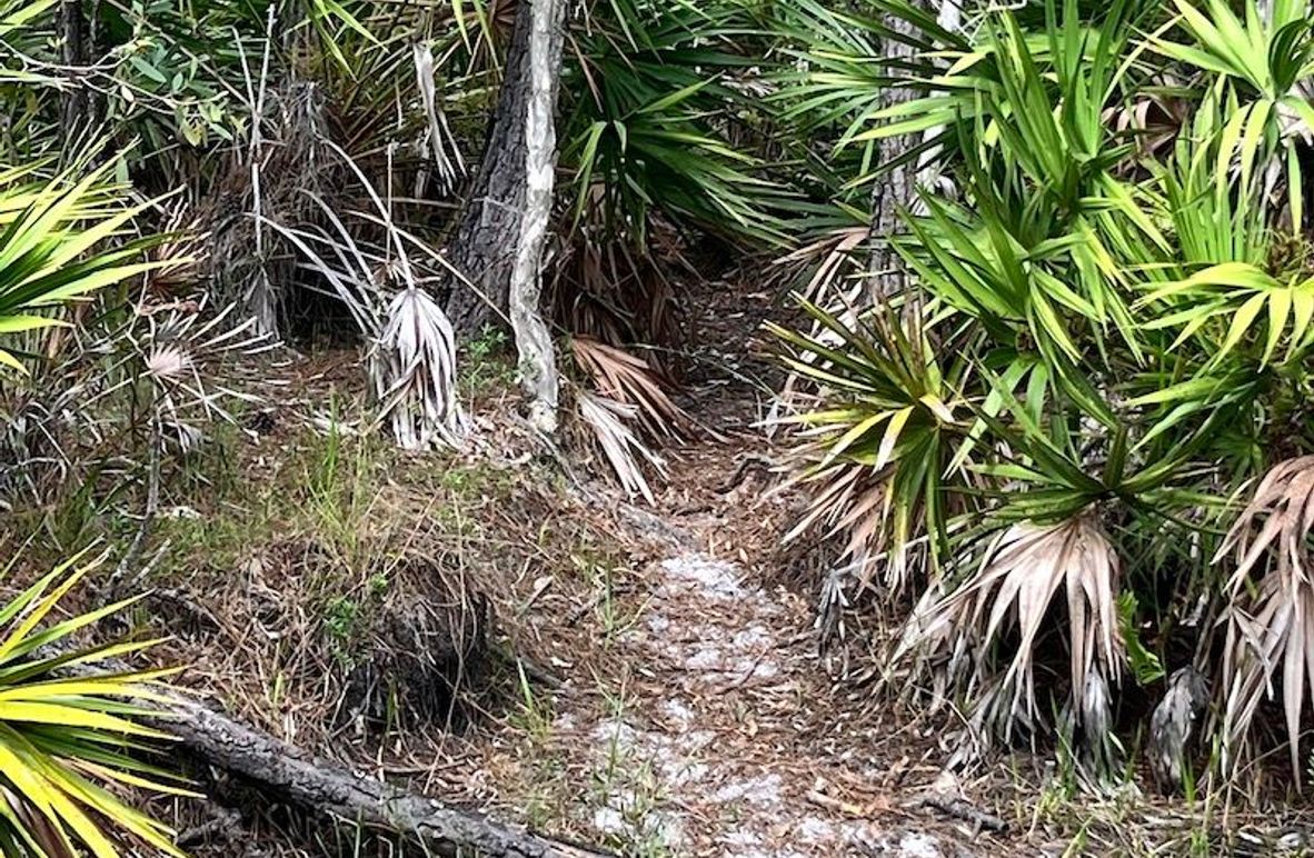 D95440C6-51ED-449A-B5AC-97D2D27D9A3E_1_102_o