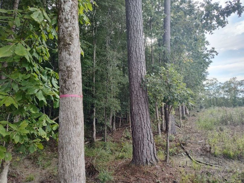 IMG_20250914_171305006_HDR