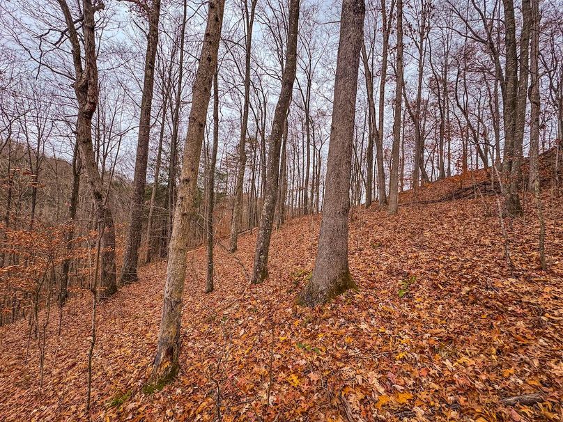 Ritchie, WV 15.5 AC Harper-15