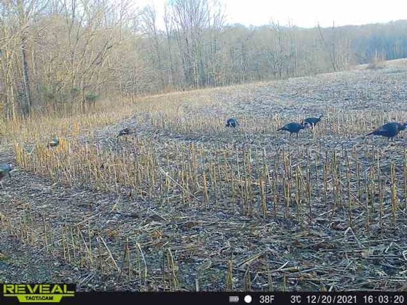 865519049947982-100-4-12202021160320-W1000109