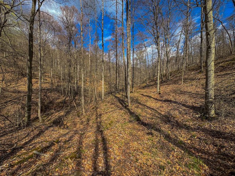 Wirt, WV 156.941 AC Full-35