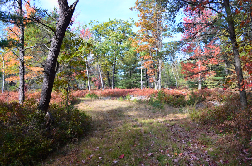 Screenshot 2025-11-14 at 11.07.06 AM