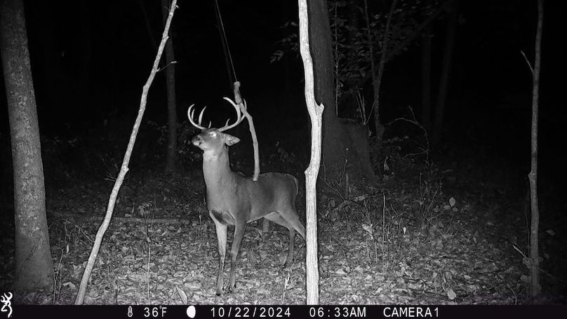 Trail Cam.18