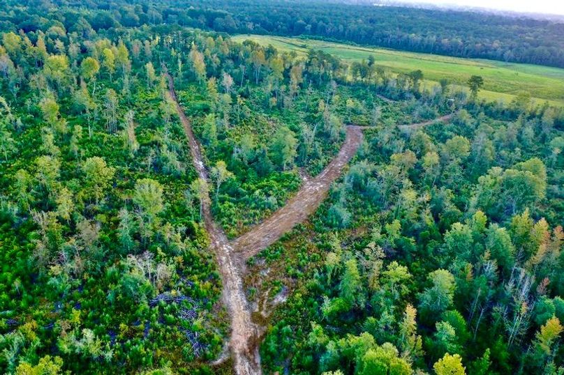 58F9665C-AF1F-4F88-B803-4BA99044531F_1_105_c