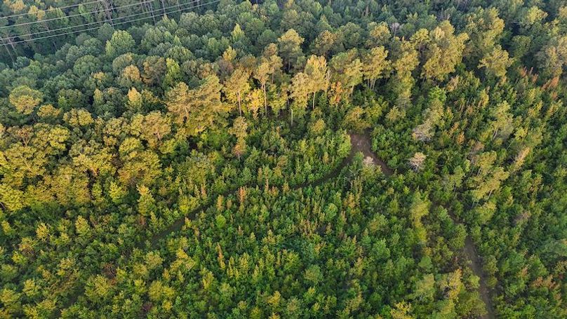 Madison Co - 40 - Clerk-21