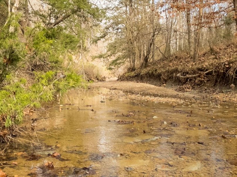 Yazoo Co - 75 - Batton-29