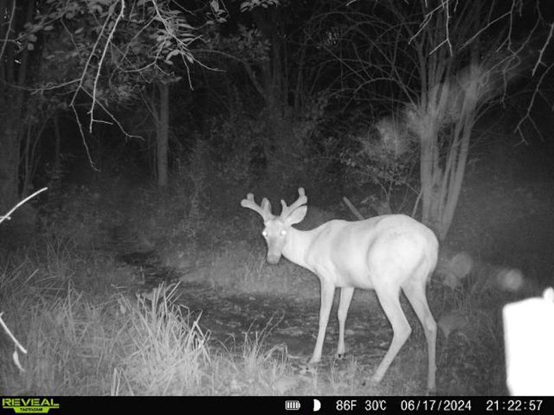 860322062166886-1-3-06172024212256-V-W1000613