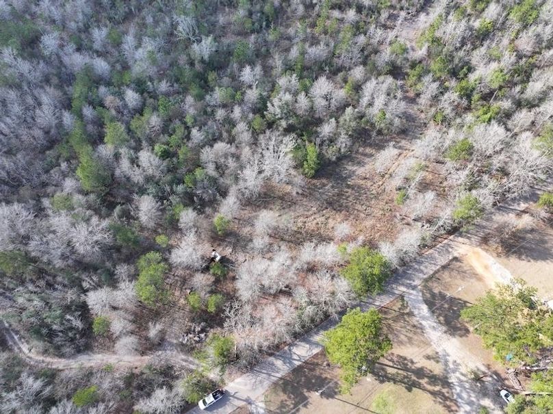 dji_fly_20260212_135630_0033_1771284252213_photo