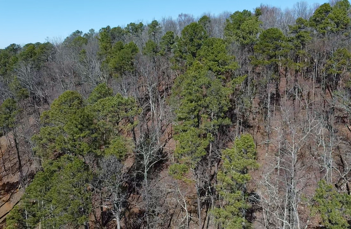 2024-02-13-12-19-30-481