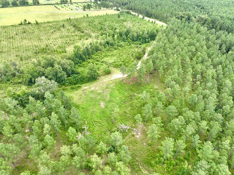 dji_fly_20240710_135248_547_1720634604992_photo