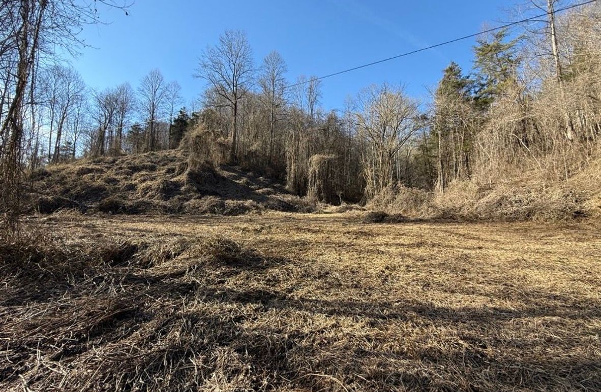 002 the home_structure lots along KY 30