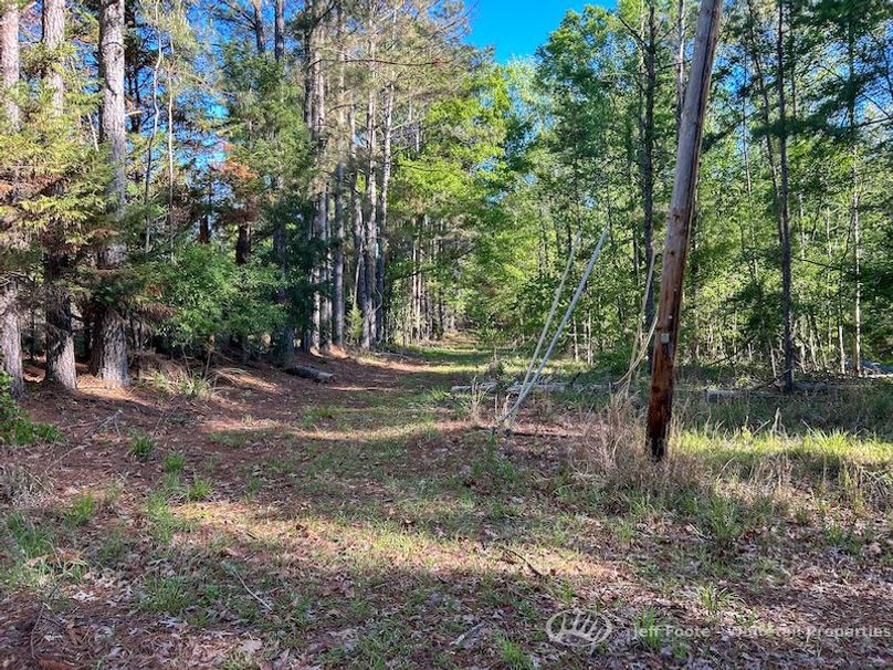 Hinds Co - 51 - Hughes-62