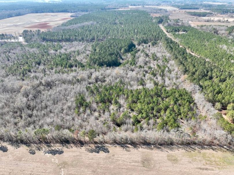 dji_fly_20260213_144234_337_1771012089152_photo