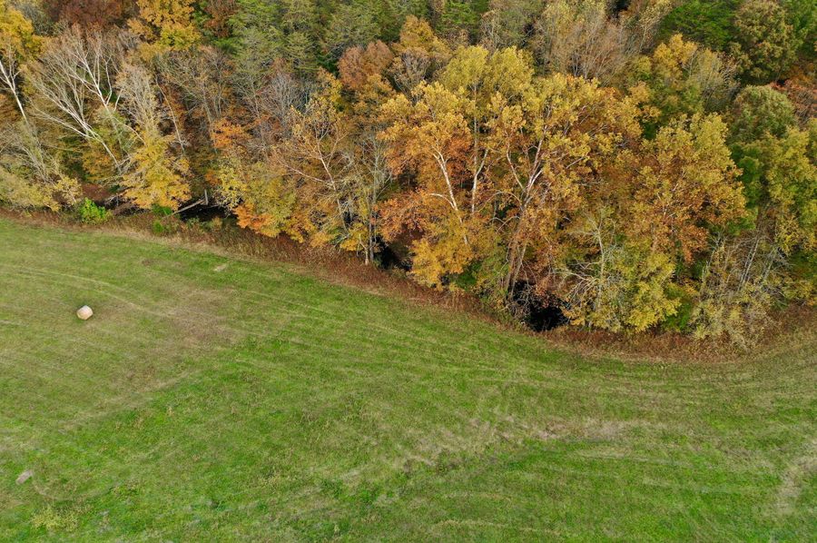 DJI_0431